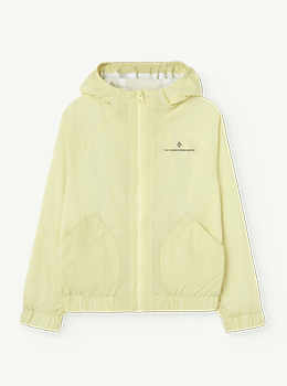 ��ǰ ������