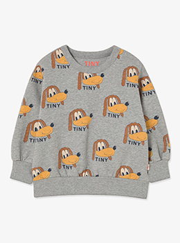 ��ǰ ������